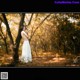 A woman in a white dress standing next to a tree.