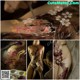 A collage of pictures of a woman getting her body painted.